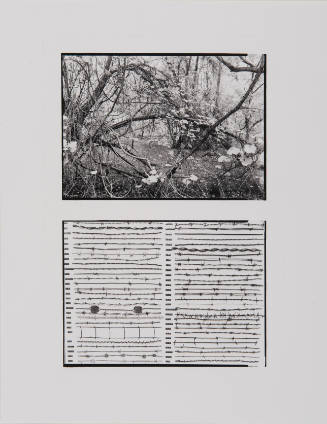 Untitled (Landscape and barbed wire) 
