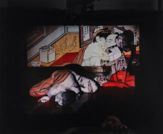 Ukiyo-e Projection. #4-14