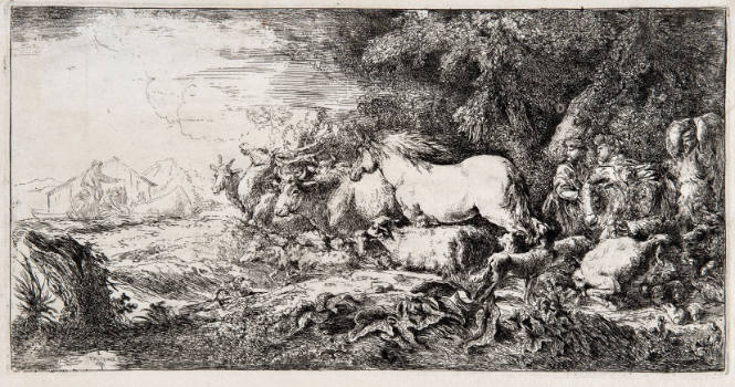 The Animals Going Toward the Ark