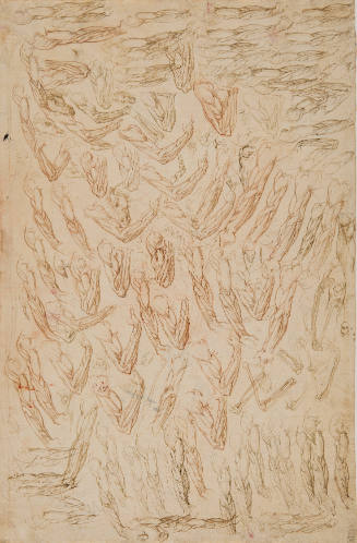 Studies of Right and Left Arm Musculature, of a Right Knee, Male Genitals, Hand Bones, and Heads of Horses
