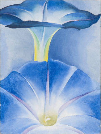 Blue Morning Glories, New Mexico, II