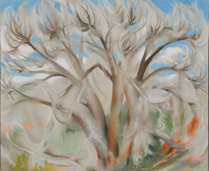 Cottonwood No. 1