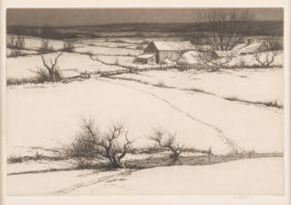 Winter Landscape
