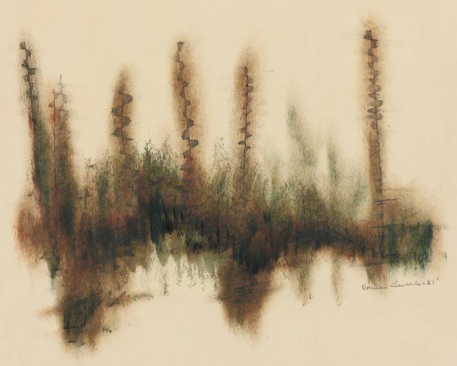 Grasses