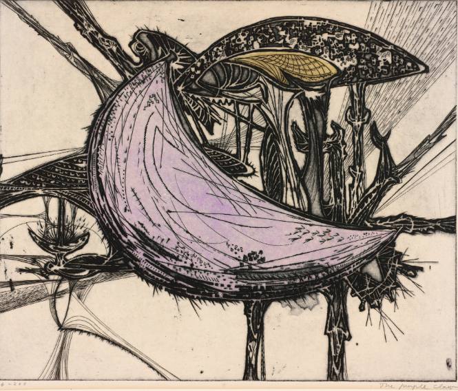 The Purple Claw