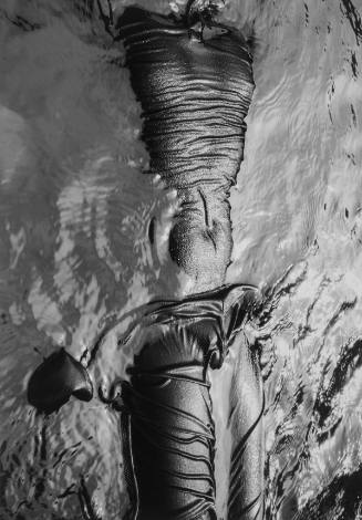 Statue in water. The watering hole.