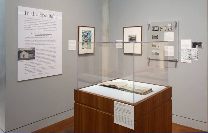 Surface Tension: Displacement, Archaeology, and Artistry of Urban Water