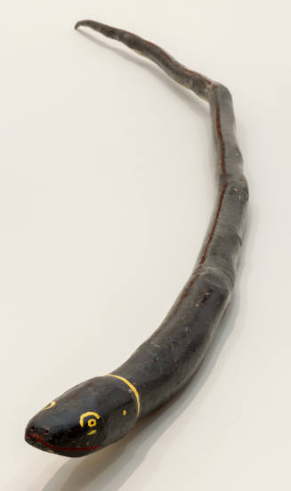Black Snake