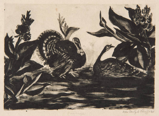 Turkeys