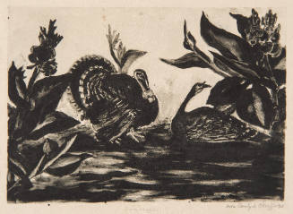 Turkeys