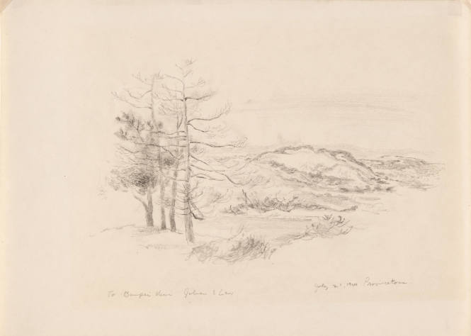 Provincetown Landscape