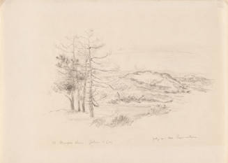 Provincetown Landscape