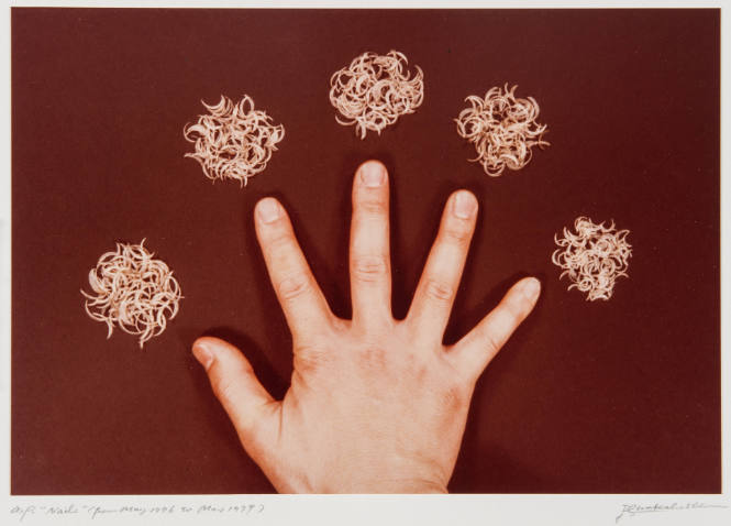 Nails: Hand (from May 1976 to May 1981)