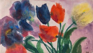 Tulpen und Schwertlilien