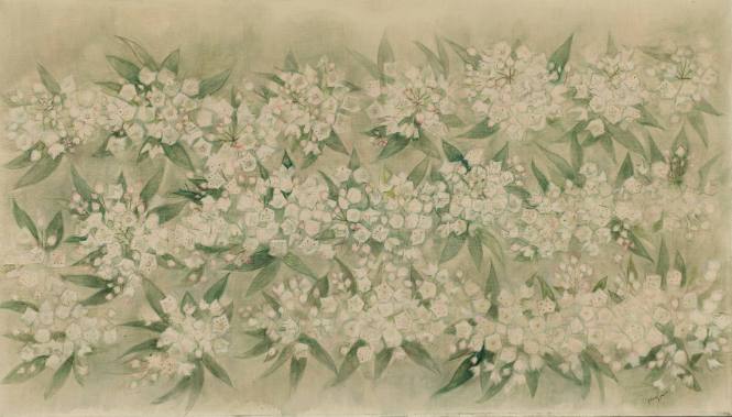 Mountain Laurel
