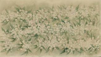 Mountain Laurel