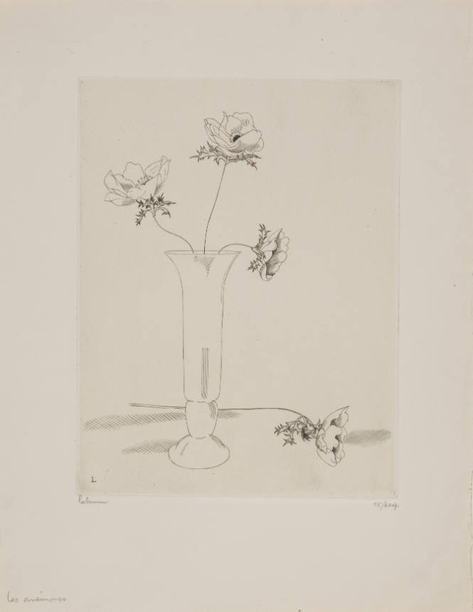 Les Anemones