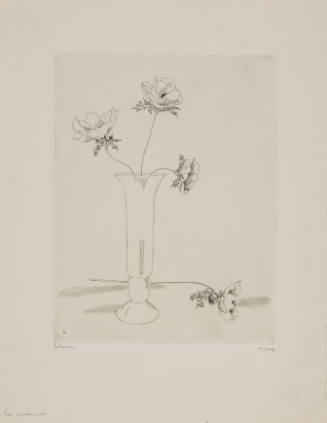 Les Anemones