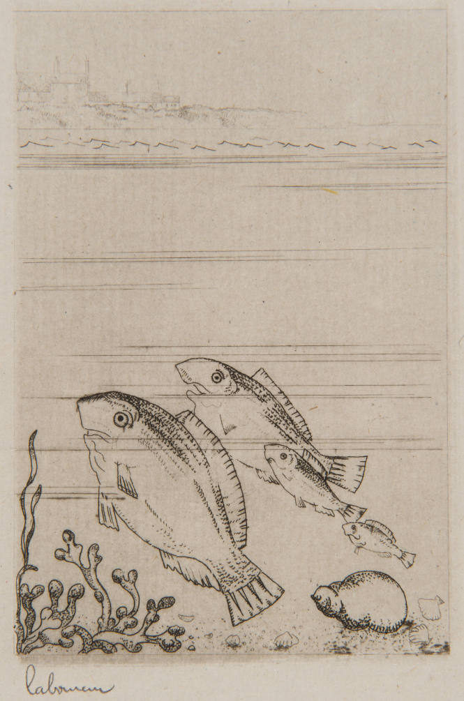 Marine aux Quatre Poissons