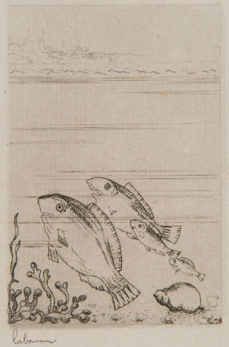 Marine aux Quatre Poissons