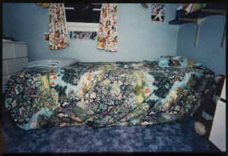 Untitled (Blue bedroom, from Millerton Portfolio)