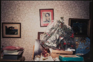 Untitled (Plastic covered holly, from Millerton Portfolio)