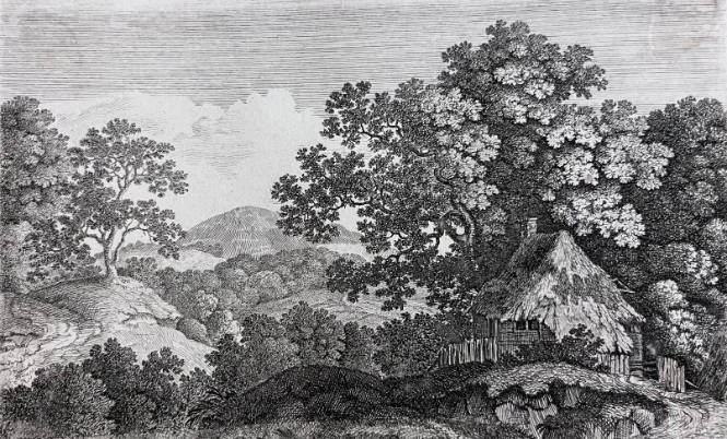[Peasant Cottage]