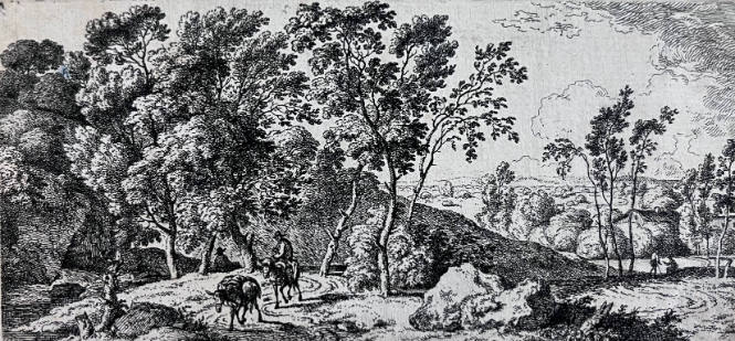 The Donkey Driver