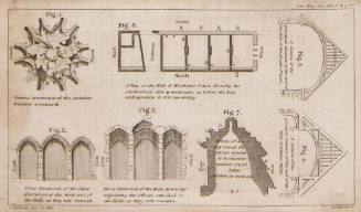 Sections of Winchester Palace