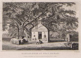 Banian-Tree at Gyah, Bahar