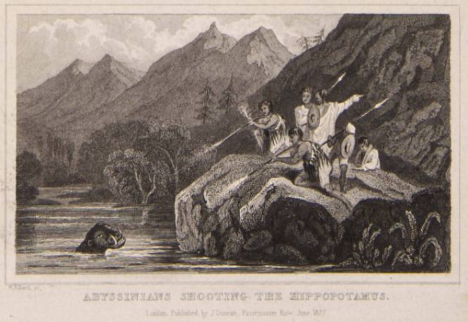 Abyssinians Shooting the Hippopotamus