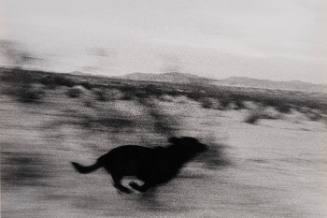 John Divola