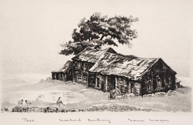 Moorland Sanctuary