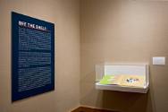 Off the Shelf: New Forms in Contemporary Artist’s Books