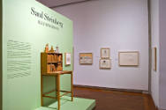 Saul Steinberg: Illuminations