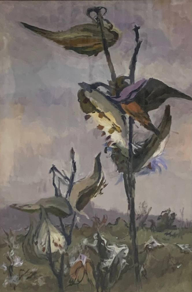 Milkweed