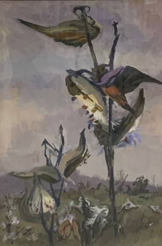 Milkweed