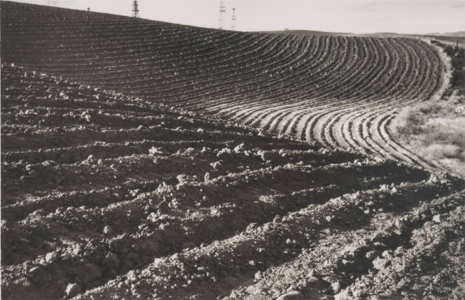 Farmland Plowing