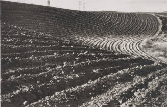 Farmland Plowing