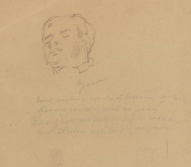Sketch of Head of Bryant and a Verse
