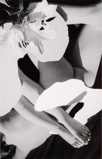 Form Study #19