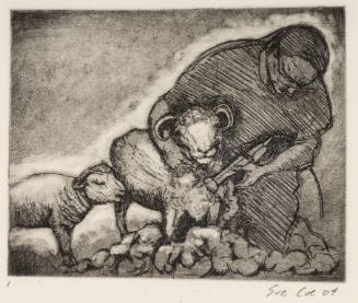 Sheep Shearing