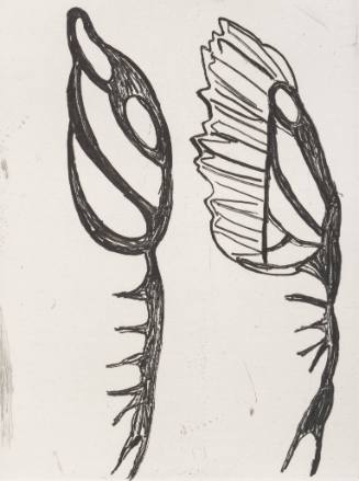 Field Notes