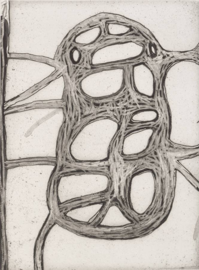 Field Notes