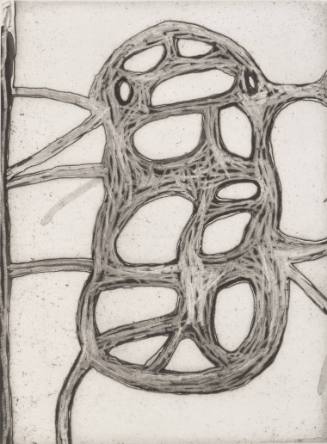 Field Notes