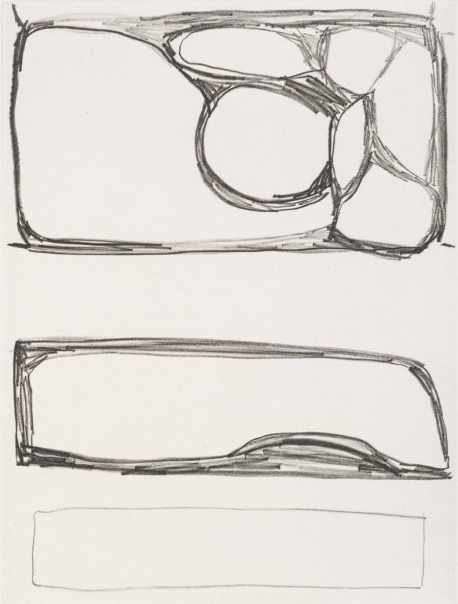 Field Notes