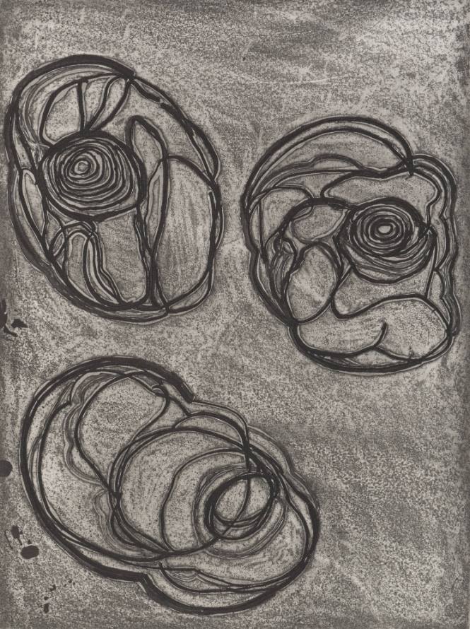Field Notes