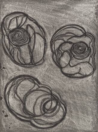 Field Notes