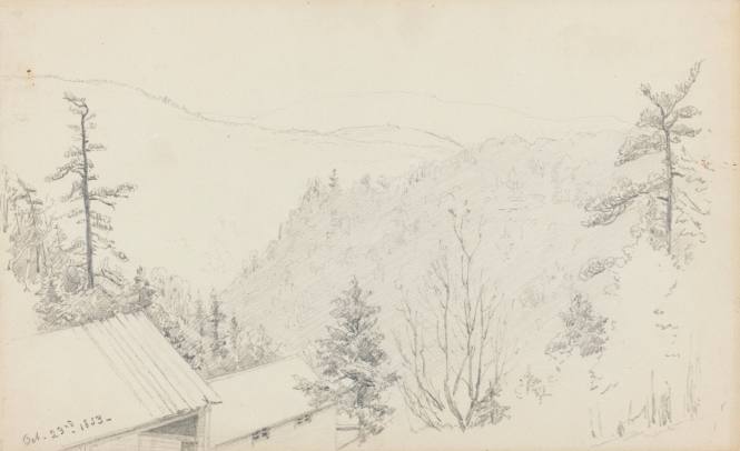 View of Mountains, Pines, and Rooftop from Above