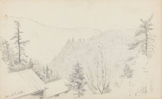 View of Mountains, Pines, and Rooftop from Above